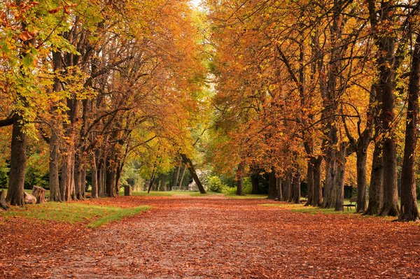 Quelles solutions pour porter des talons en journée sans compromettre le confort du pied?